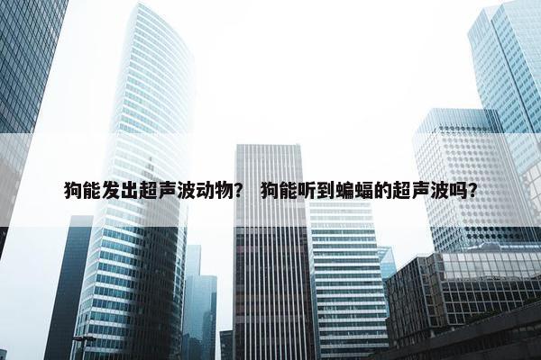 狗能发出超声波动物？ 狗能听到蝙蝠的超声波吗？