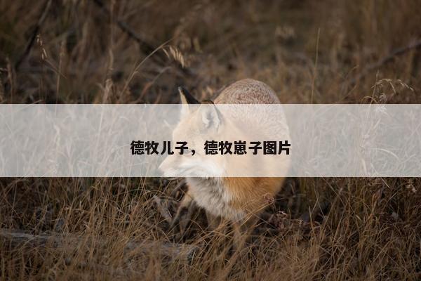 德牧儿子，德牧崽子图片