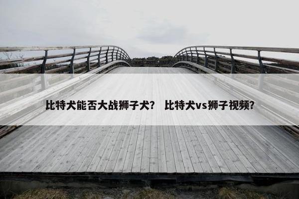 比特犬能否大战狮子犬？ 比特犬vs狮子视频？