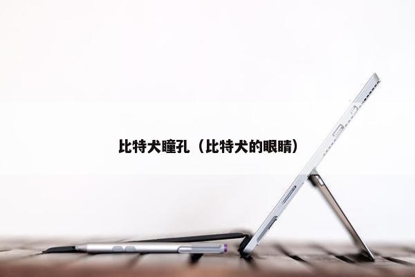 比特犬瞳孔（比特犬的眼睛）
