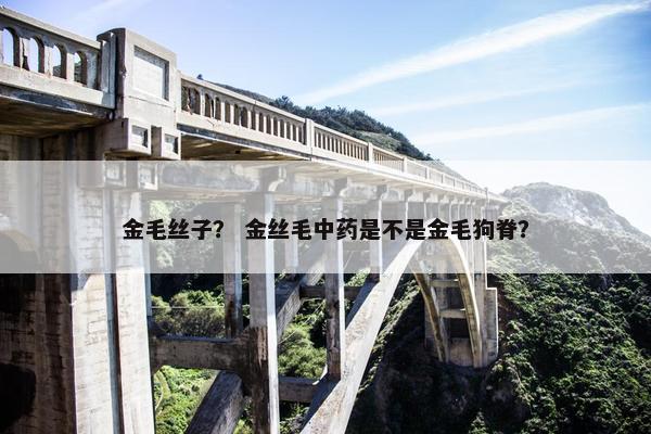 金毛丝子？ 金丝毛中药是不是金毛狗脊？