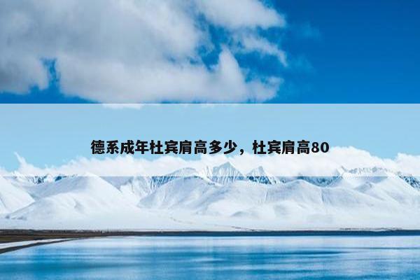 厘米 第8页