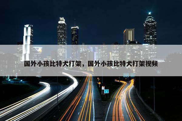 国外小孩比特犬打架，国外小孩比特犬打架视频