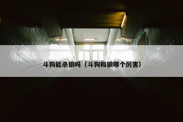 斗狗能杀狼吗（斗狗和狼哪个厉害）