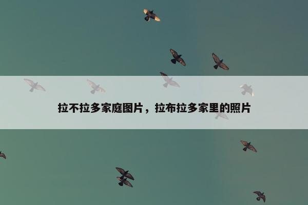 拉不拉多家庭图片，拉布拉多家里的照片