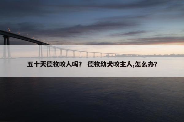 五十天德牧咬人吗？ 德牧幼犬咬主人,怎么办？