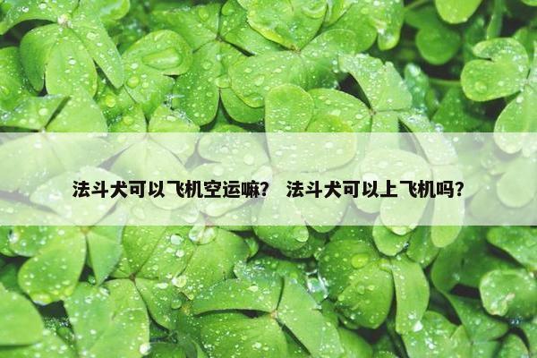 法斗犬可以飞机空运嘛？ 法斗犬可以上飞机吗？