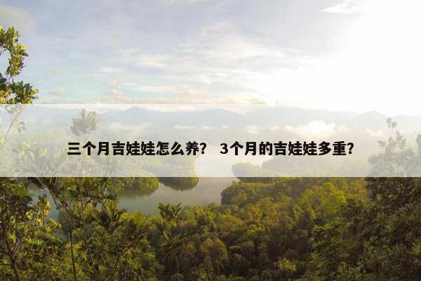 三个月吉娃娃怎么养？ 3个月的吉娃娃多重？