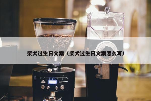 柴犬过生日文案（柴犬过生日文案怎么写）