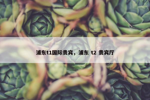 浦东