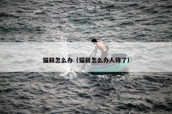 猫藓怎么办（猫藓怎么办人得了）