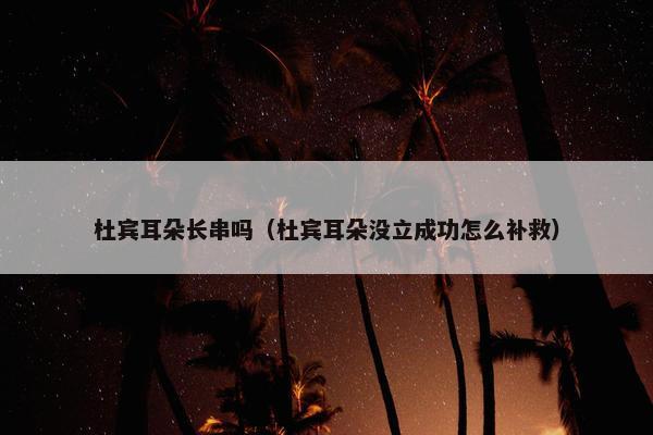杜宾耳朵长串吗（杜宾耳朵没立成功怎么补救）