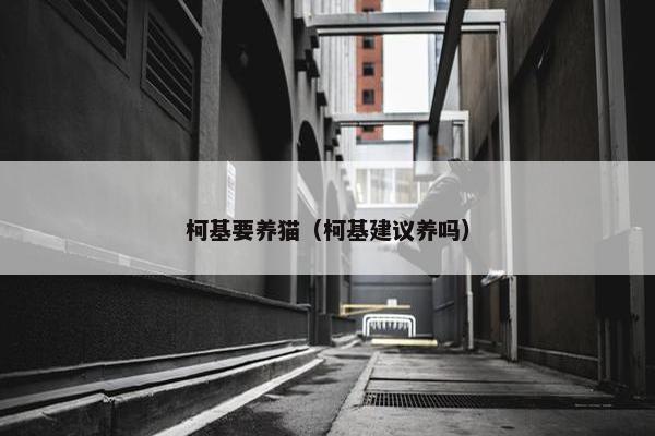 柯基要养猫（柯基建议养吗）