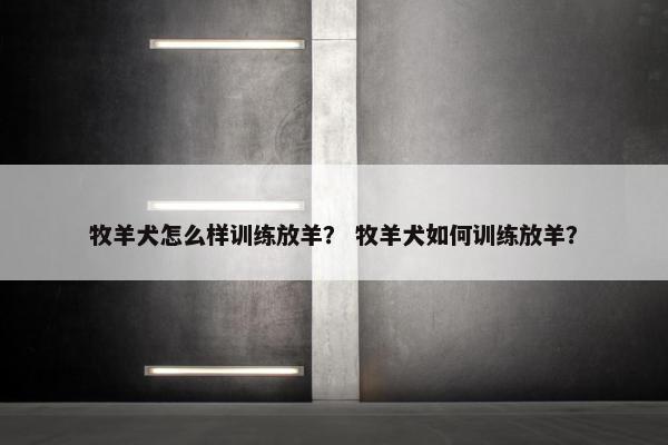 牧羊犬怎么样训练放羊? 牧羊犬如何训练放羊?