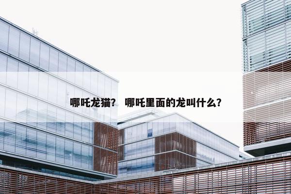 哪吒龙猫？ 哪吒里面的龙叫什么？