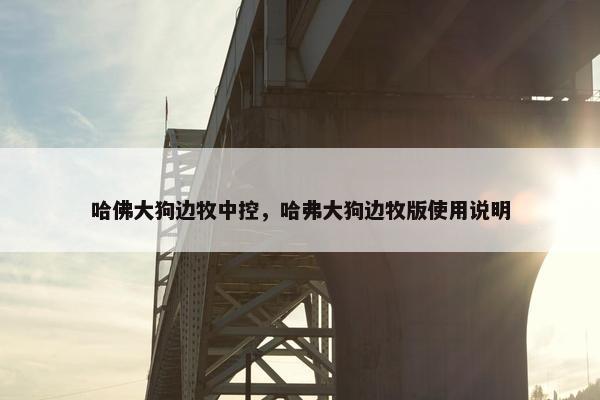 方向盘