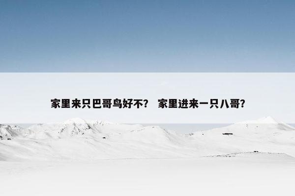 八哥 第3页