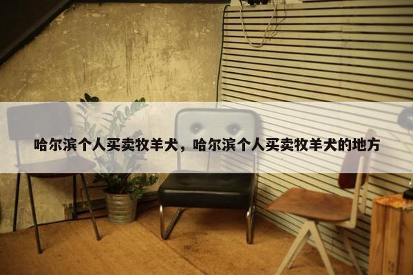 哈尔滨个人买卖牧羊犬，哈尔滨个人买卖牧羊犬的地方