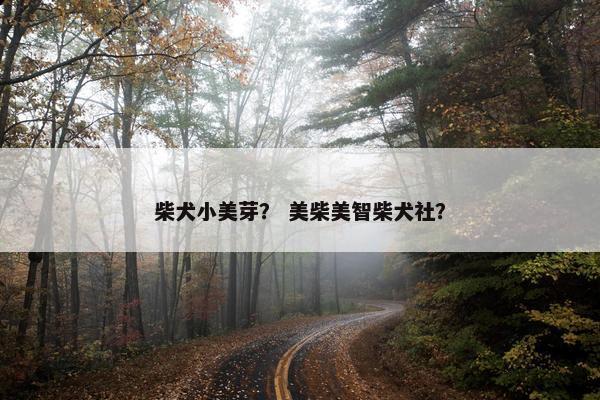 柴犬小美芽？ 美柴美智柴犬社？
