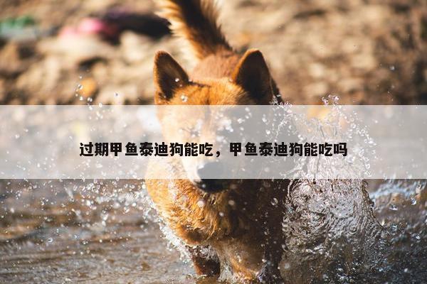 桑葚
