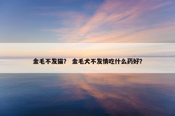 金毛不发猫？ 金毛犬不发情吃什么药好？
