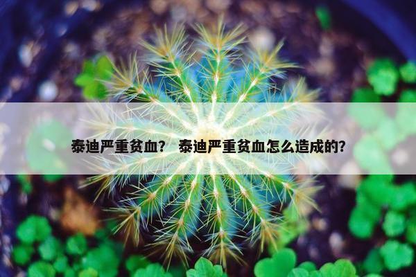 贫血