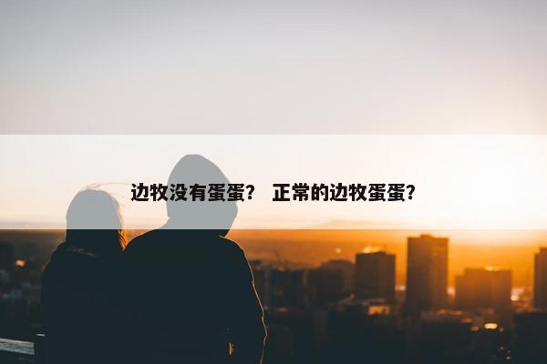 边牧没有蛋蛋？ 正常的边牧蛋蛋？