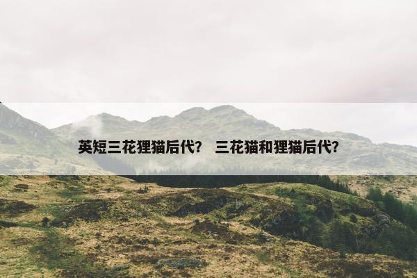 英短三花狸猫后代？ 三花猫和狸猫后代？