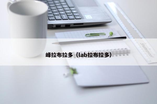 峰拉布拉多（lab拉布拉多）
