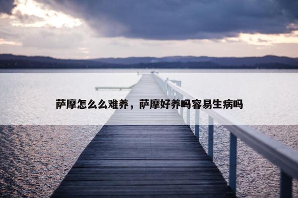 萨摩怎么么难养，萨摩好养吗容易生病吗