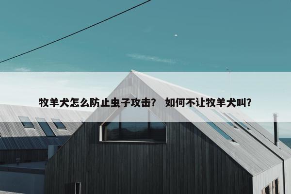 牧羊犬怎么防止虫子攻击？ 如何不让牧羊犬叫？