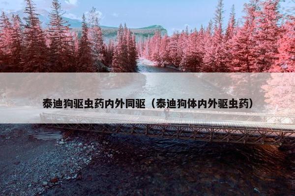 泰迪狗驱虫药内外同驱（泰迪狗体内外驱虫药）