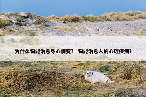 为什么狗能治愈身心病变? 狗能治愈人的心理疾病?