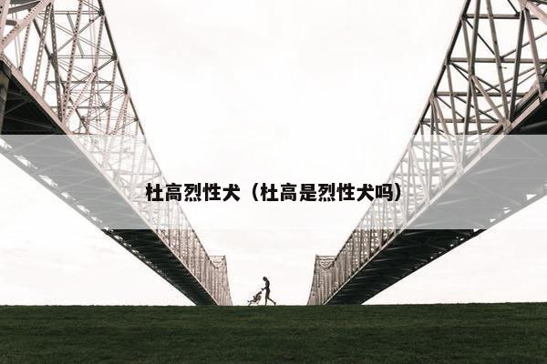 杜高烈性犬（杜高是烈性犬吗）