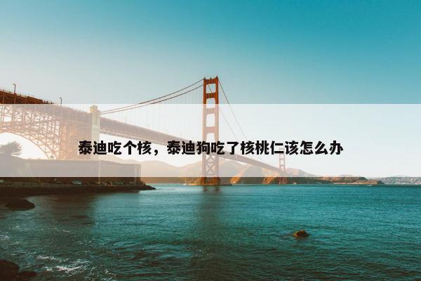 泰迪吃个核，泰迪狗吃了核桃仁该怎么办