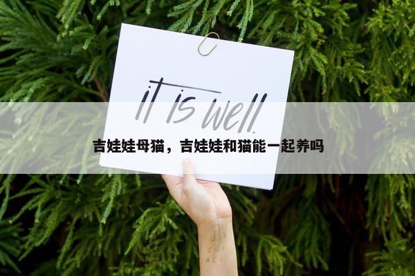 吉娃娃母猫，吉娃娃和猫能一起养吗