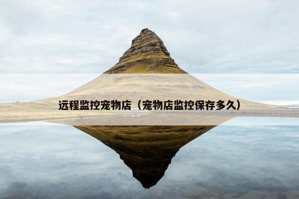 远程监控宠物店（宠物店监控保存多久）