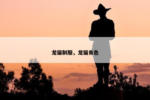 龙猫制服，龙猫角色