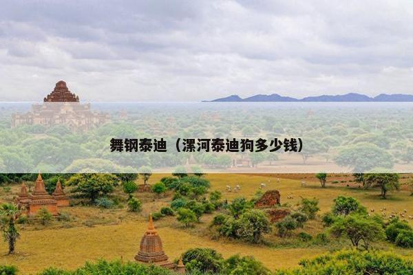 舞钢泰迪（漯河泰迪狗多少钱）