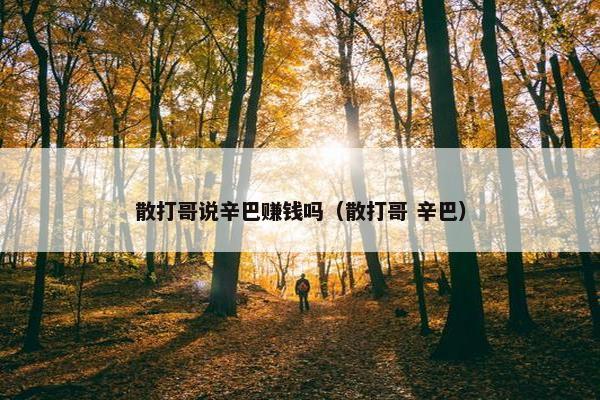 散打哥说辛巴赚钱吗（散打哥 辛巴）