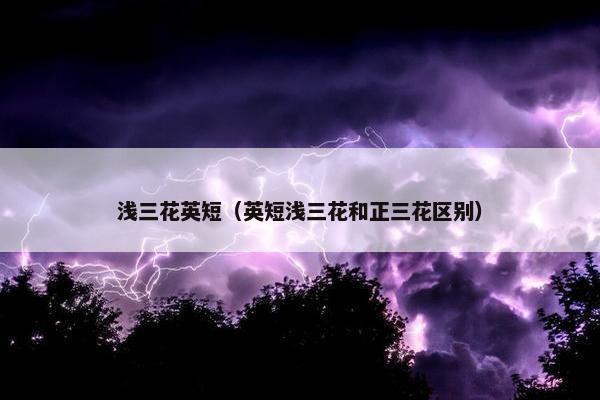 英短三
