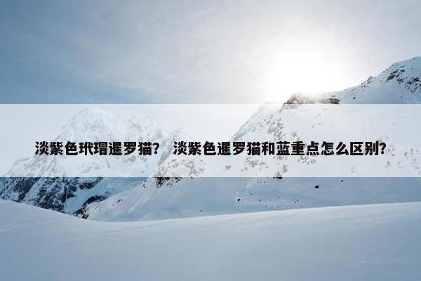 淡紫色玳瑁暹罗猫？ 淡紫色暹罗猫和蓝重点怎么区别？