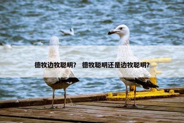 德牧边牧聪明？ 德牧聪明还是边牧聪明？