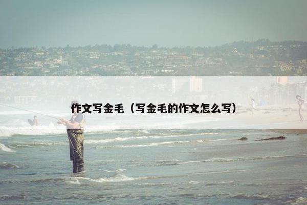 作文写金毛（写金毛的作文怎么写）