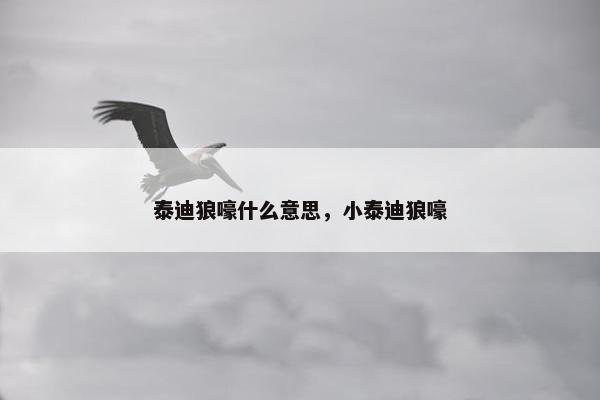 泰迪狼嚎什么意思，小泰迪狼嚎