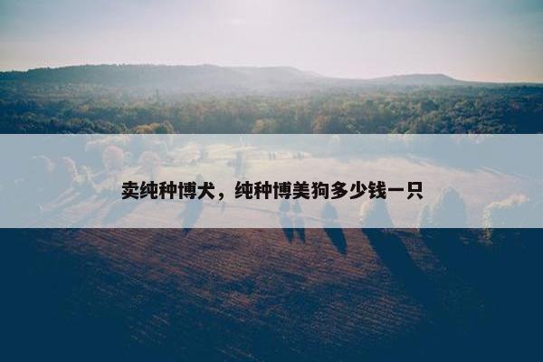 卖纯种博犬,纯种博美狗多少钱一只