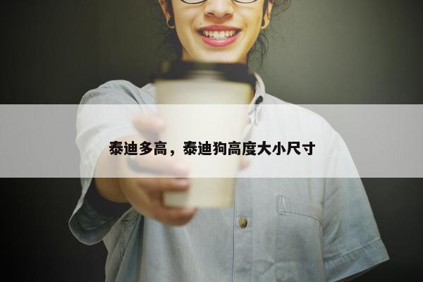 泰迪多高，泰迪狗高度大小尺寸
