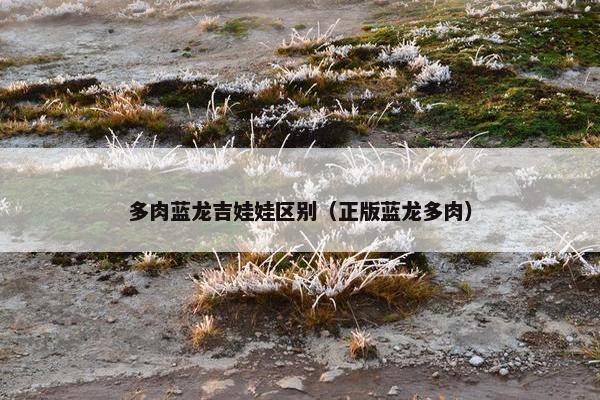 卡内