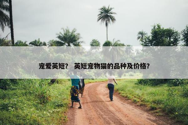 宠爱英短？ 英短宠物猫的品种及价格？