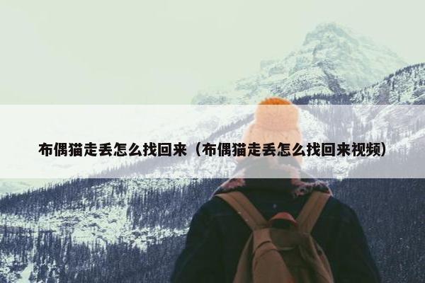 布偶猫走丢怎么找回来（布偶猫走丢怎么找回来视频）